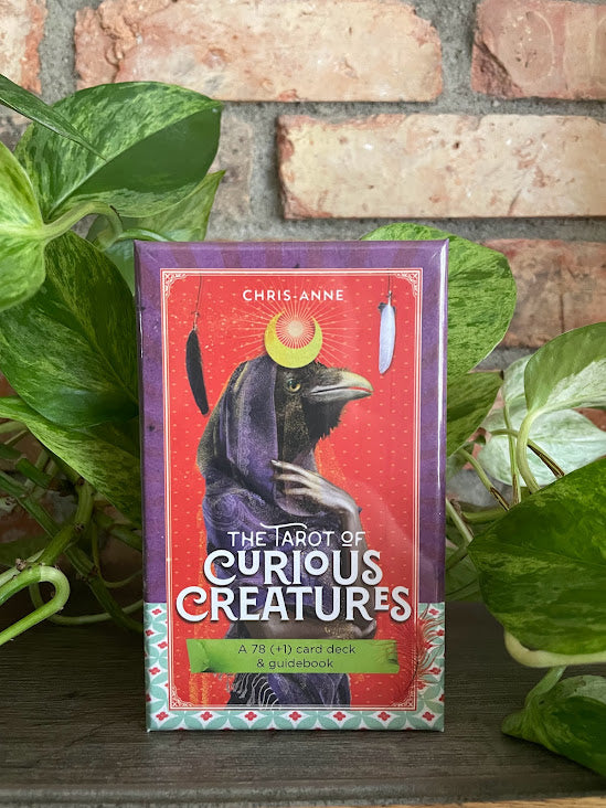 The Tarot Of Curious Creatures