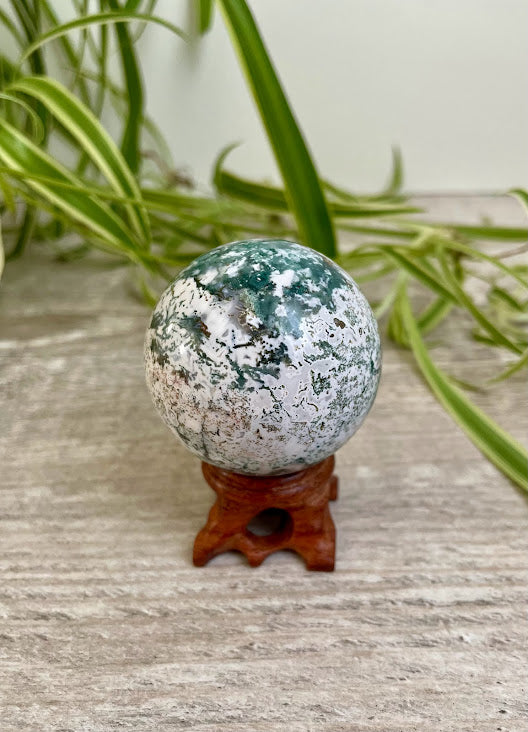 Moss & Tree Agate Spheres